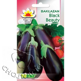 BAKŁAŻAN BLACK BEAUTY 1G