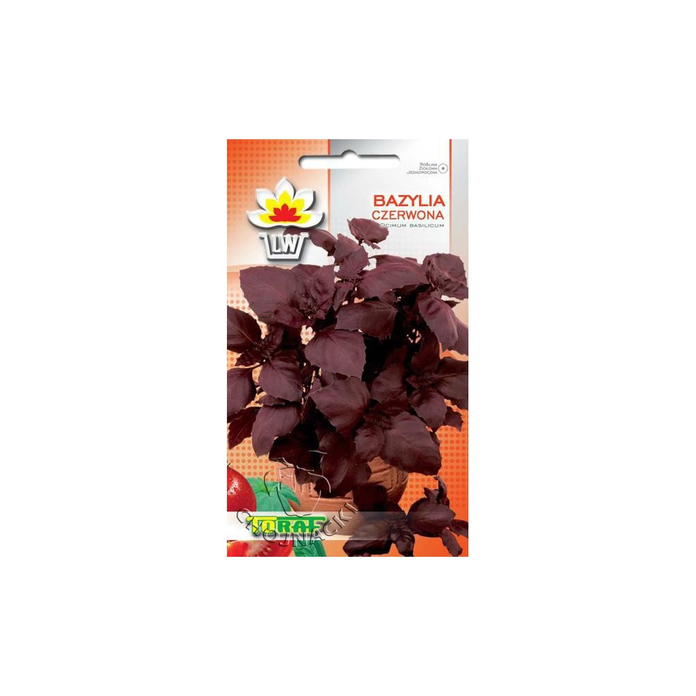 BAZYLIA CZERWONA 1 GR