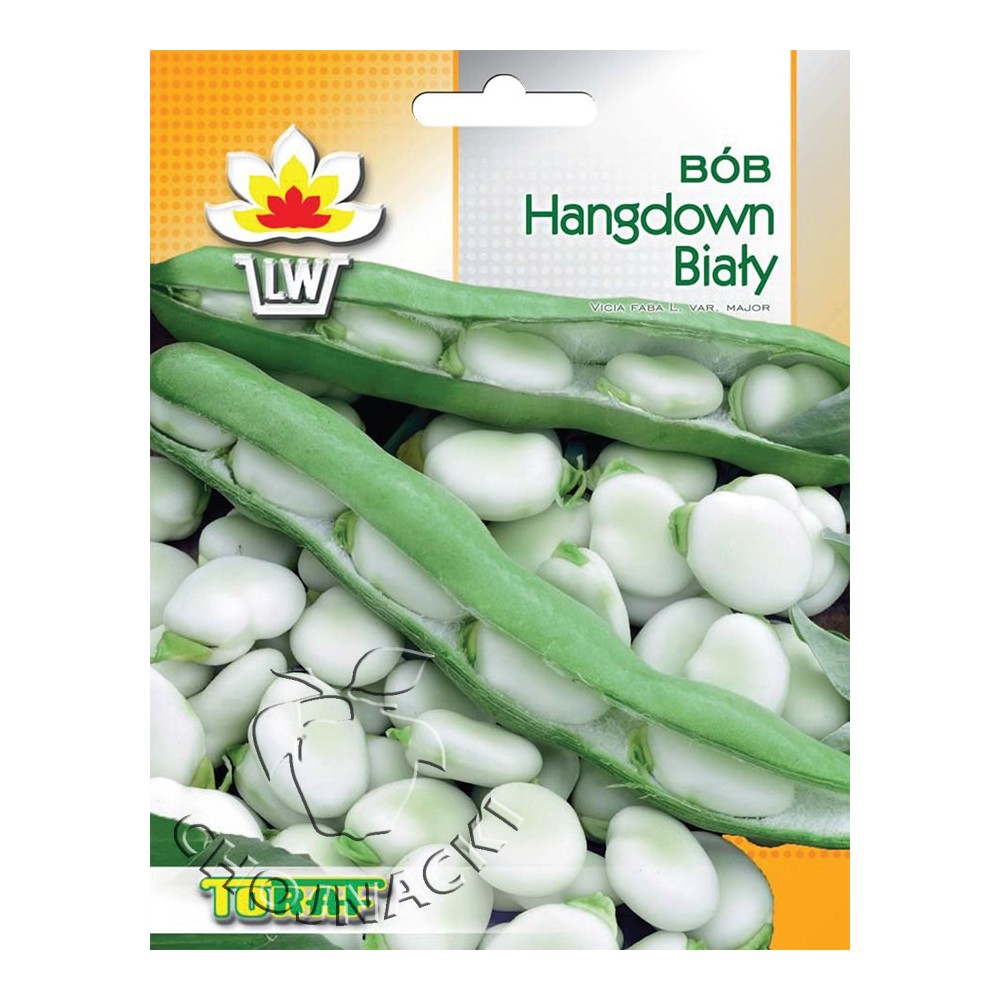 BÓB HANGDOWN BIAŁY 50G