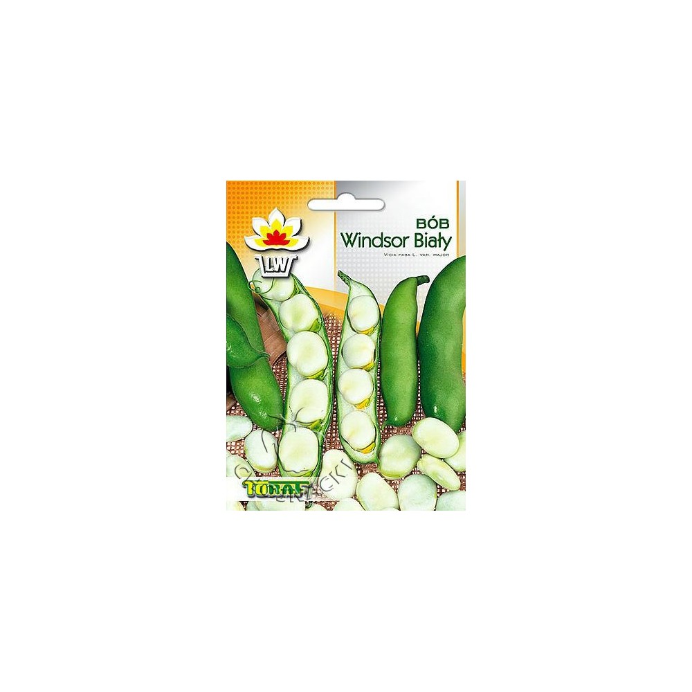 BÓB WINDSOR BIAŁY 500G