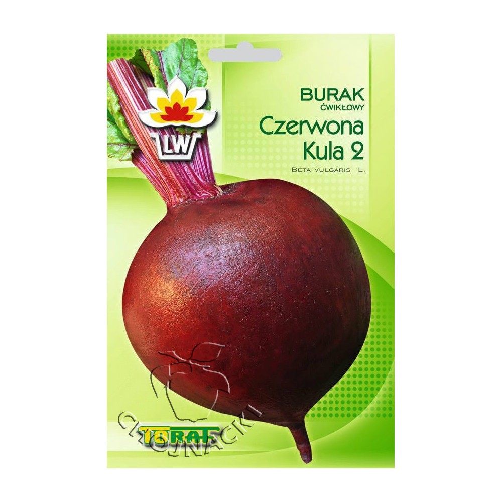 BURAK CZERWONA KULA 2 10GR