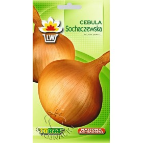 CEBULA SOCHACZEWSKA - PÓŹNA 5G