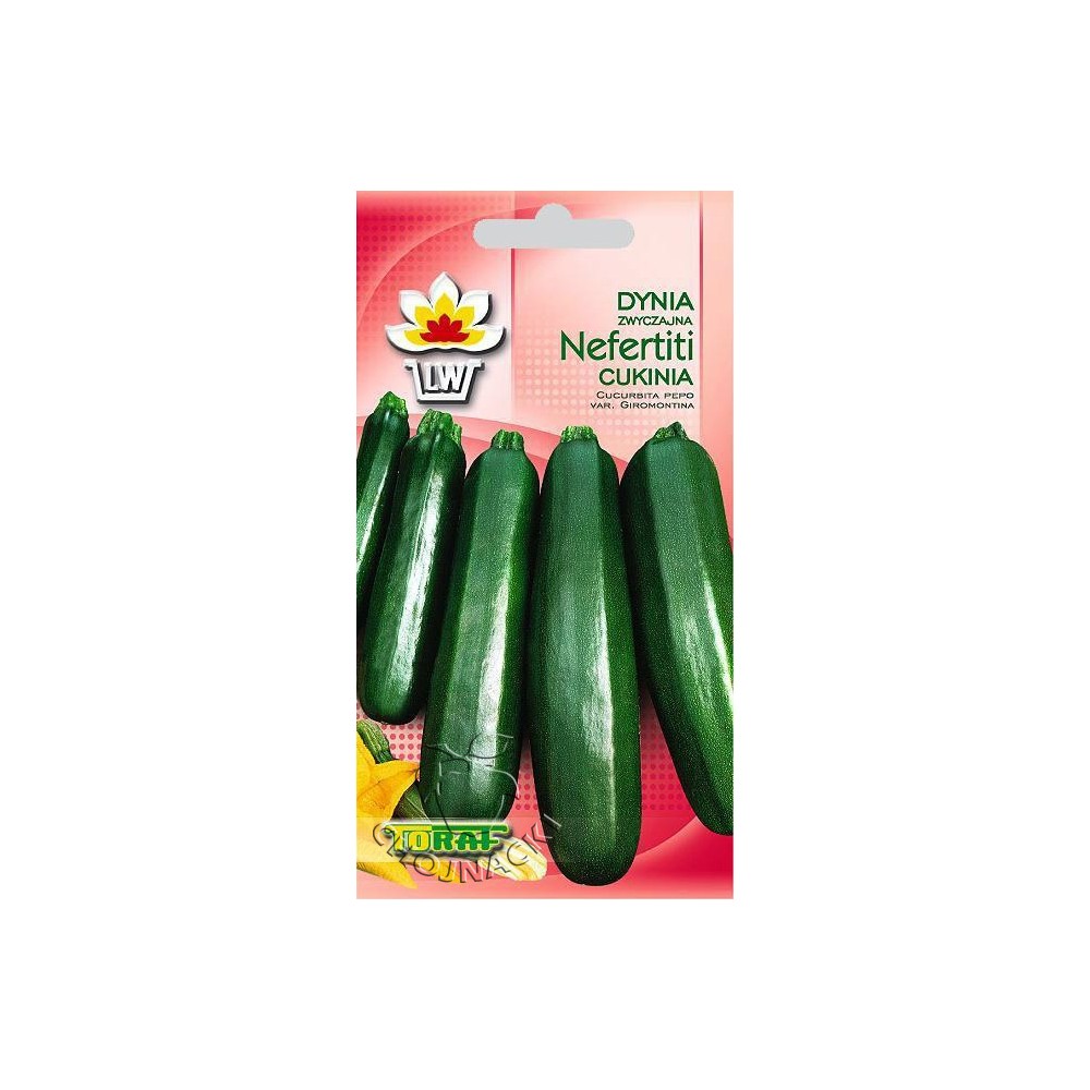 CUKINIA NEFERTITI 3GR