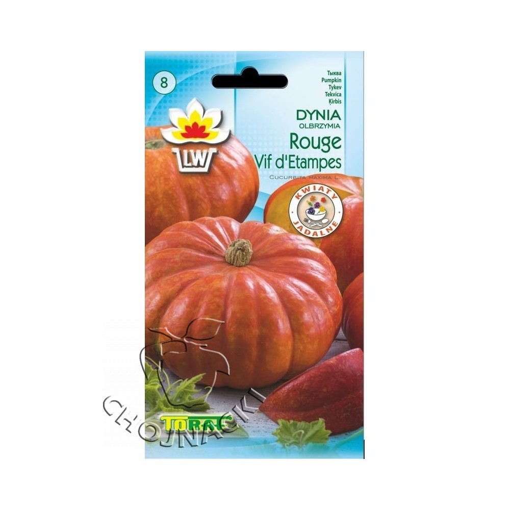 DYNIA ROUGE VIF D'ETAMPES 5G ST