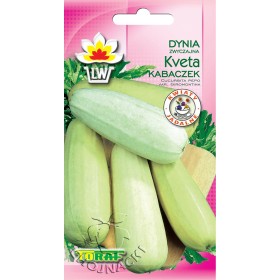 DYNIA ZWYCZAJNA - KABACZEK KVETA 3GR