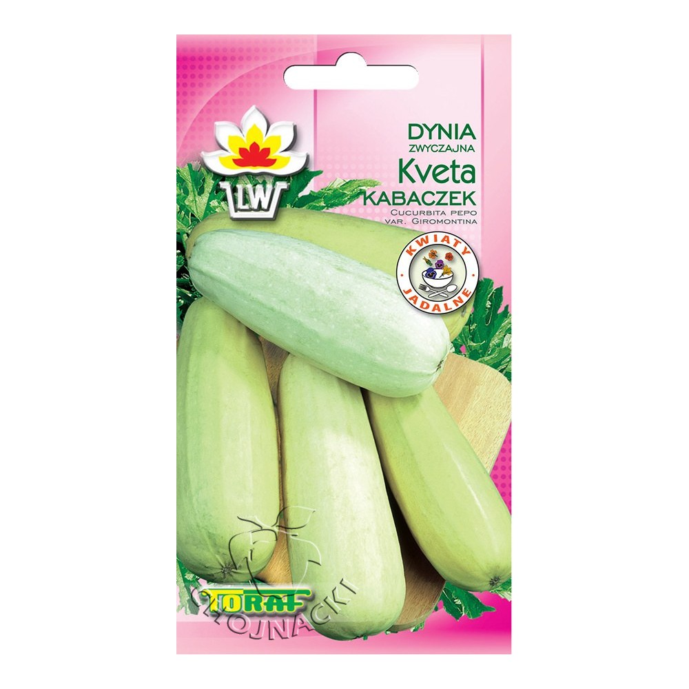 DYNIA ZWYCZAJNA - KABACZEK KVETA 3GR