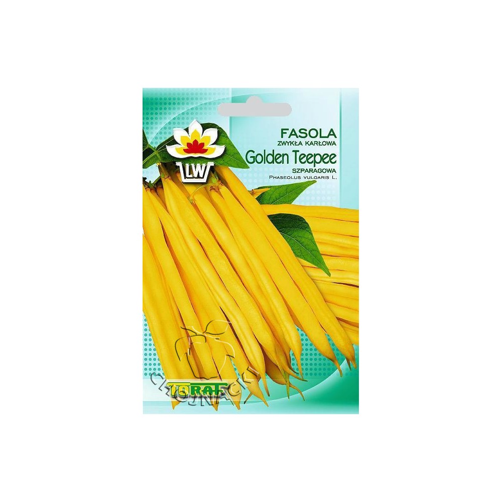 FASOLA GOLDEN TEPPE 30GR