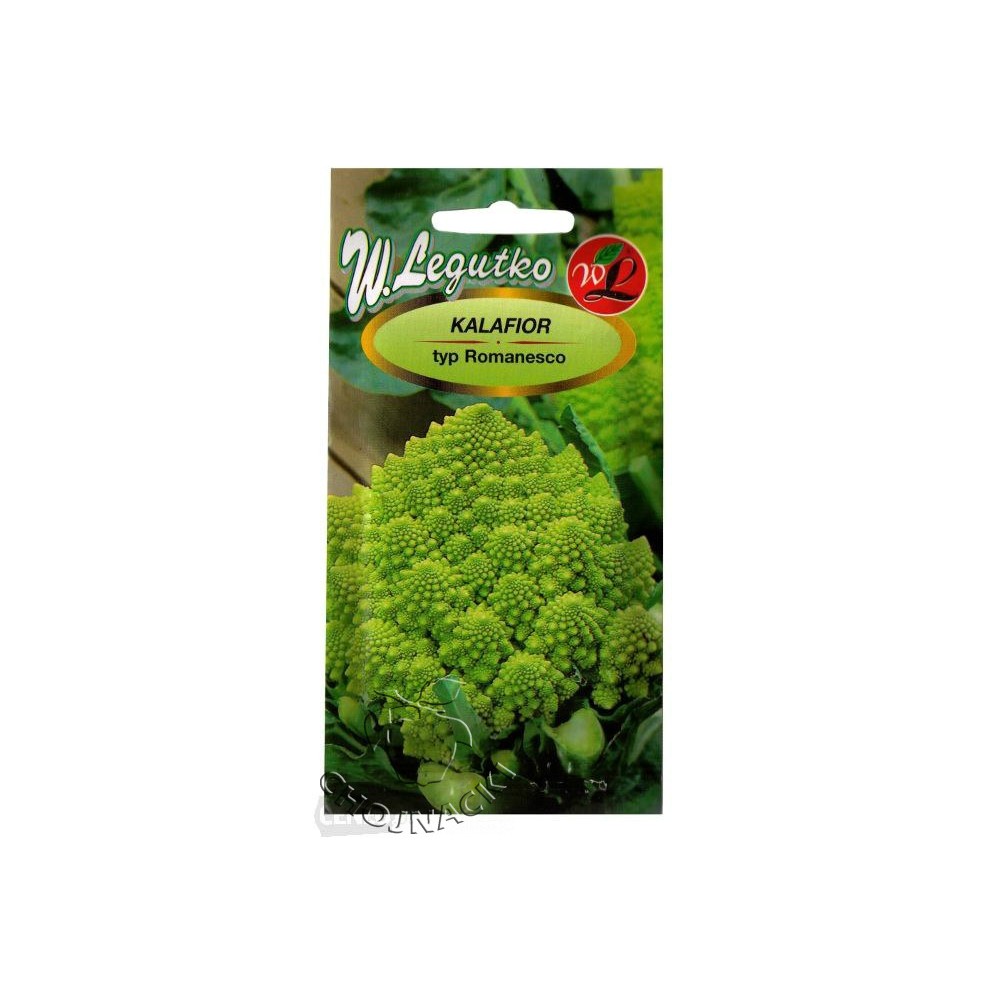 KALAFIOR - typ Romanesco 1 G