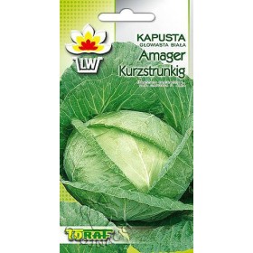 KAPUSTA AMAGER KURZSTR 2GR