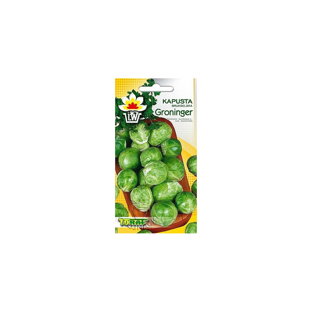 KAPUSTA BRUKSELSKA GRONINGER 1 G