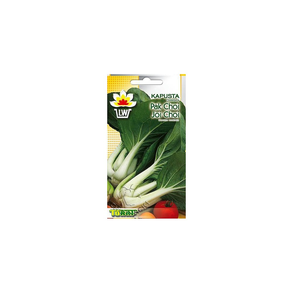KAPUSTA CHIŃSKA PAK CHOI 1G