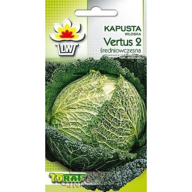 KAPUSTA WŁOSKA VERTUS 2 GR