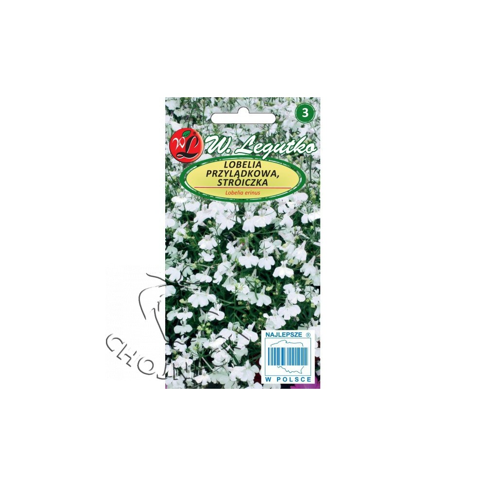 LOBELIA PRZYLĄDKOWA STROICZKA 0,1 G