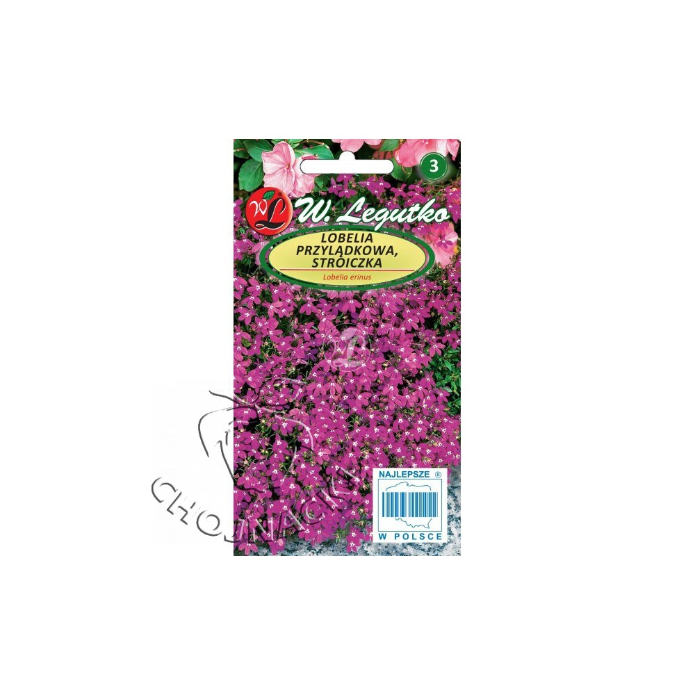 LOBELIA PRZYLĄDKOWA, STROICZKA 0,1 G