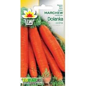 MARCHEW DOLANKA PÓŹNA 5G