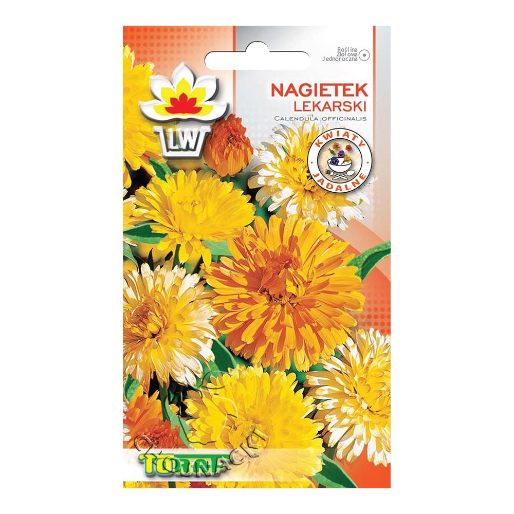 NAGIETEK LEKARSKI 0,1 GR