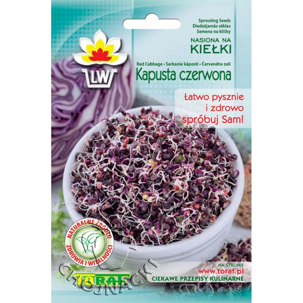 NASIONA NA KIEŁKI KAPUSTA CZERWONA 10G