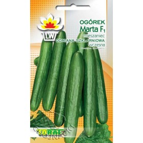 OGÓREK POD OSŁONY MARTA 1G