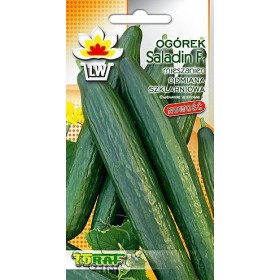 OGÓREK POD OSŁONY SALADIN 1G