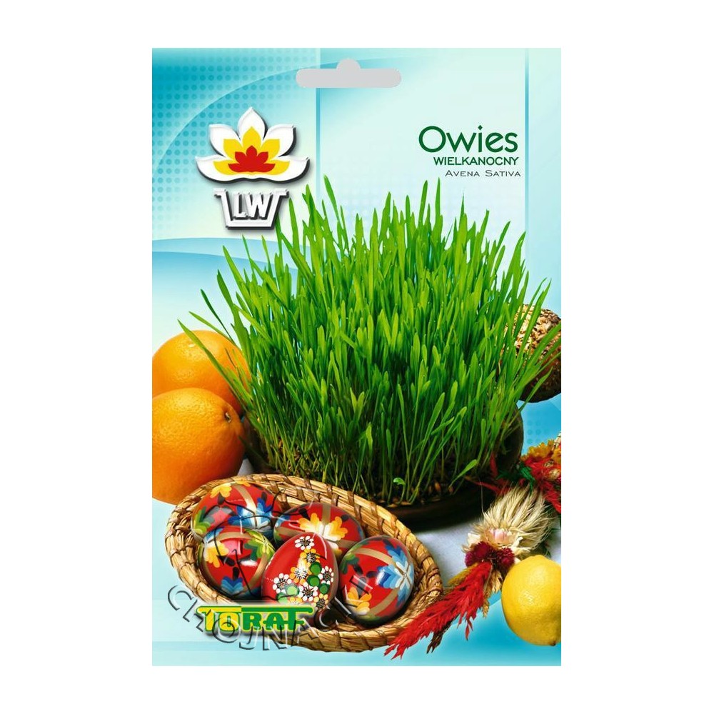 OWIES WIELKANOCNY 30G