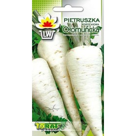 PIETRUSZKA KORZENIOWA OŁOMUŃCKA 5 GR