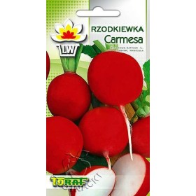 RZODKIEWKA CARMESA (CZERWONA) - ŚREDNIO WCZESNA 5G