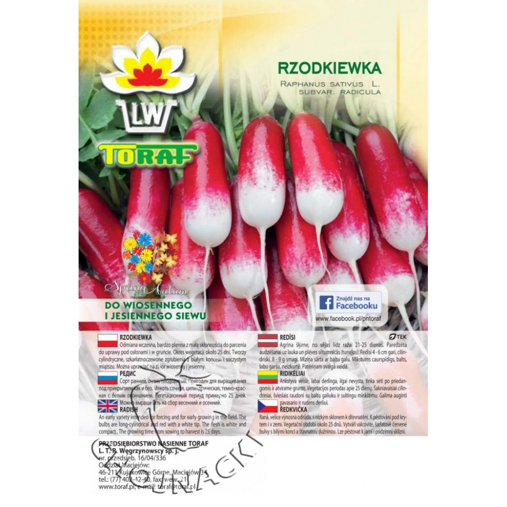 RZODKIEWKA OPOLANKA - WCZESNA 100G