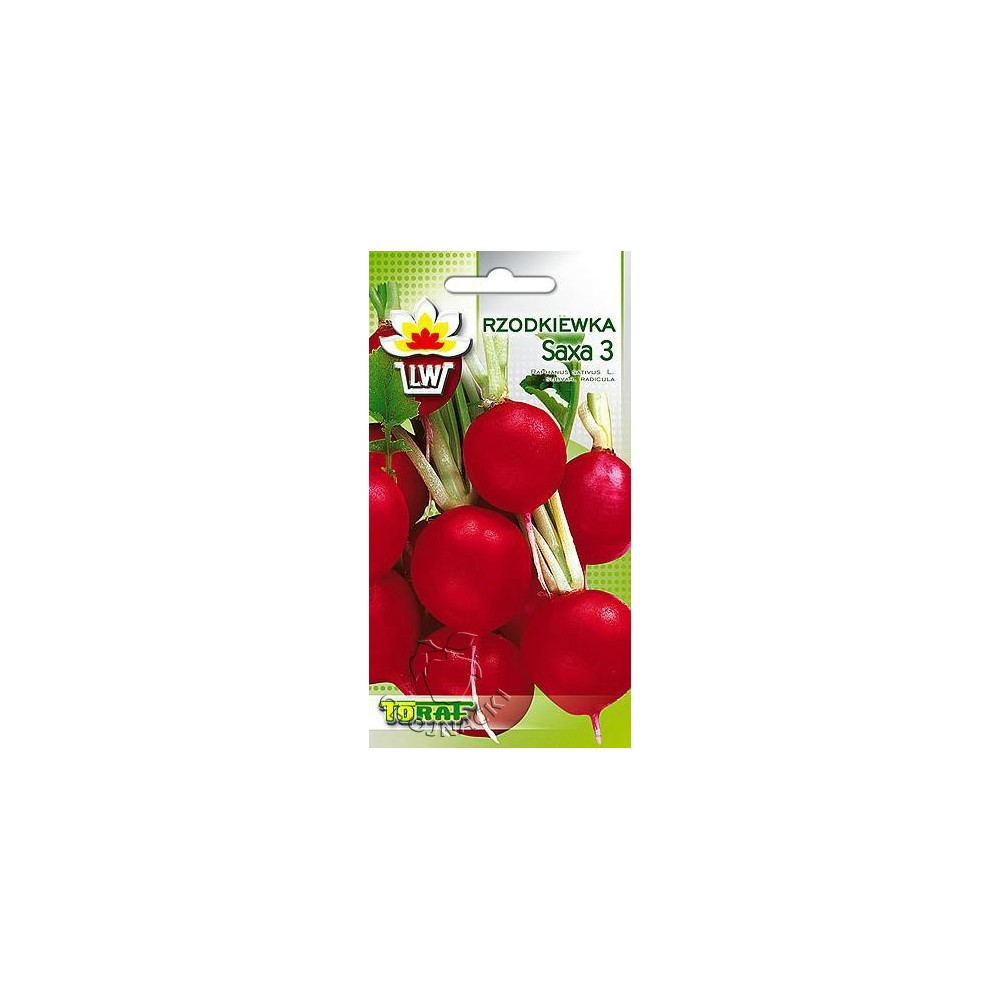 RZODKIEWKA SAXA 3 10 GR