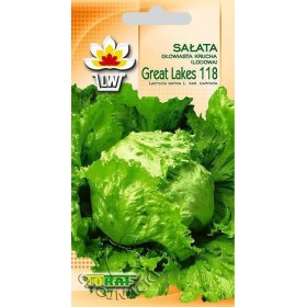 SAŁATA KRUCHA LODOWA GREAT LAKES 118 1G
