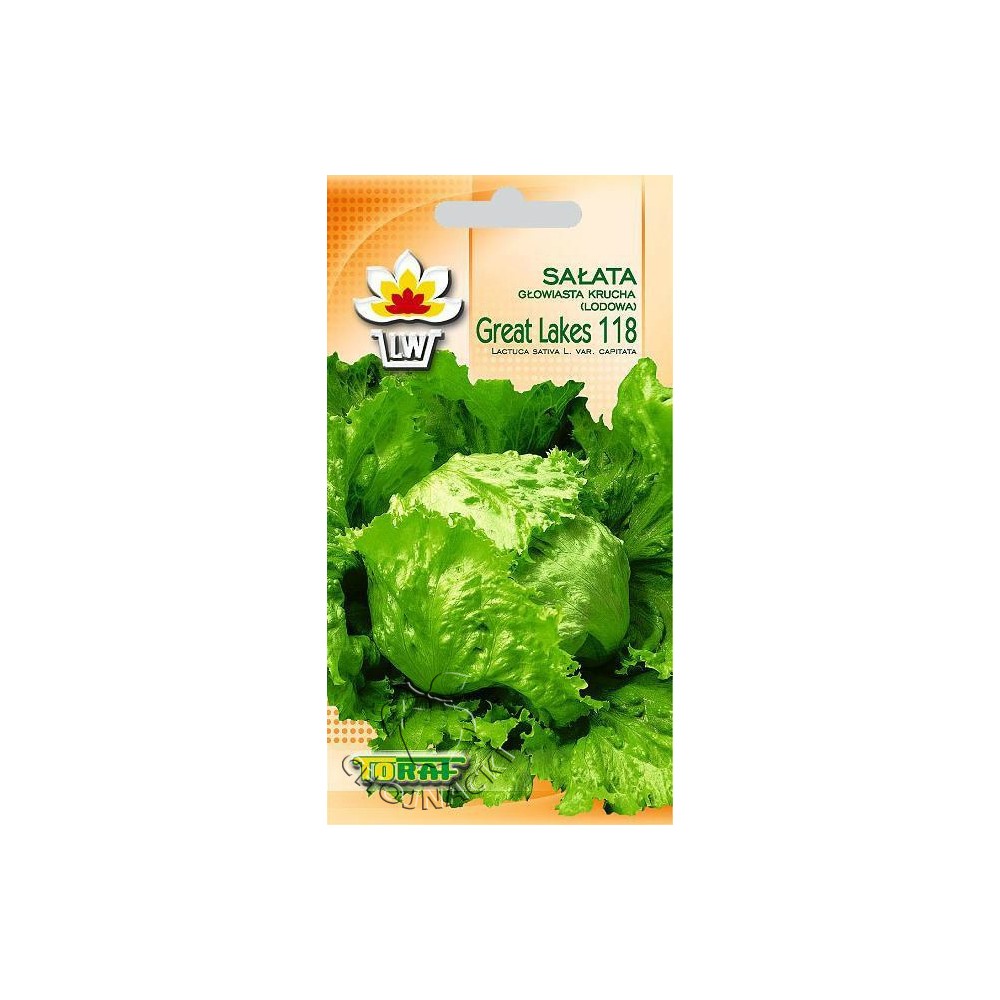 SAŁATA KRUCHA LODOWA GREAT LAKES 118 1G