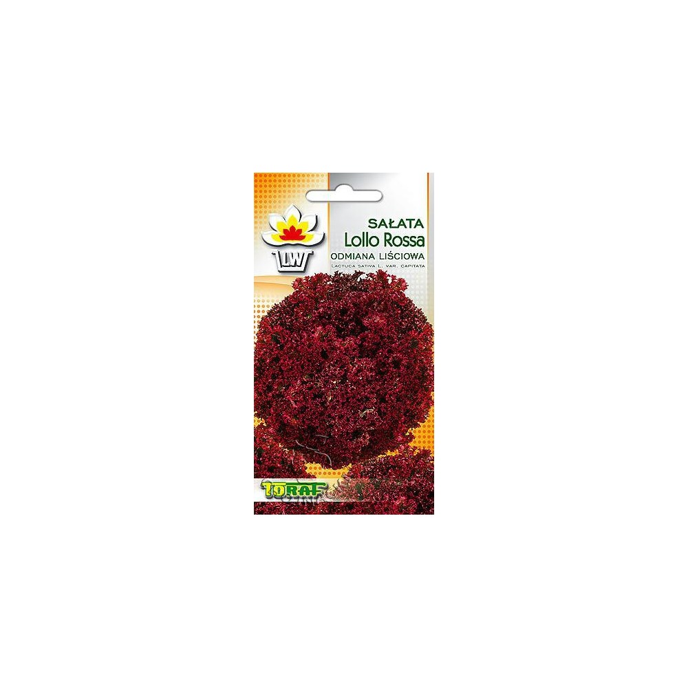 SAŁATA LIŚCIOWA LOLLO ROSSA 1 GR