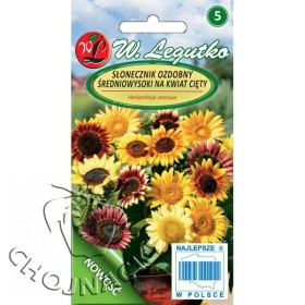 SLONECZNIK OZDOBNY ŚREDNIOWYSOKI 3 G