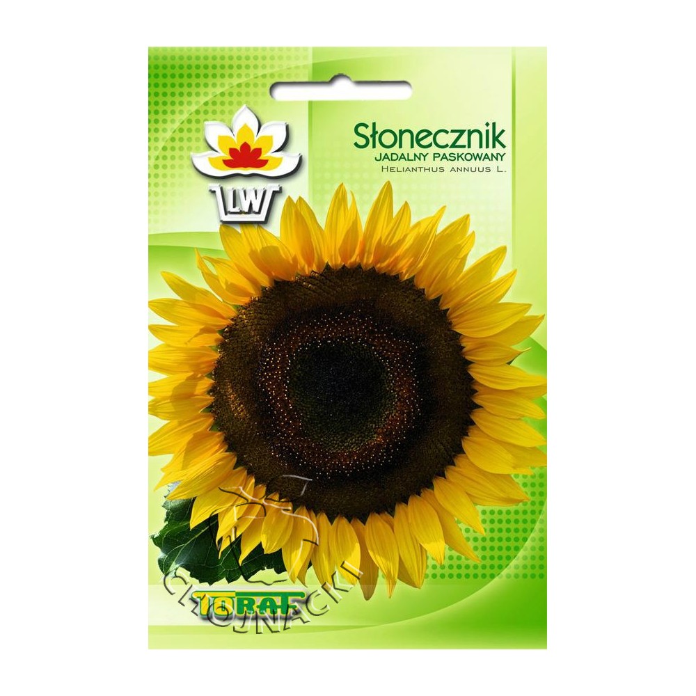 SŁONECZNIK JADALNY PASKOWANY 10G