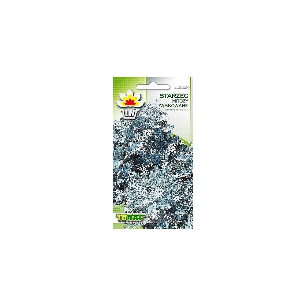 STARZEC MROZY ZĄBKOWANE POPIELATY 0,2G