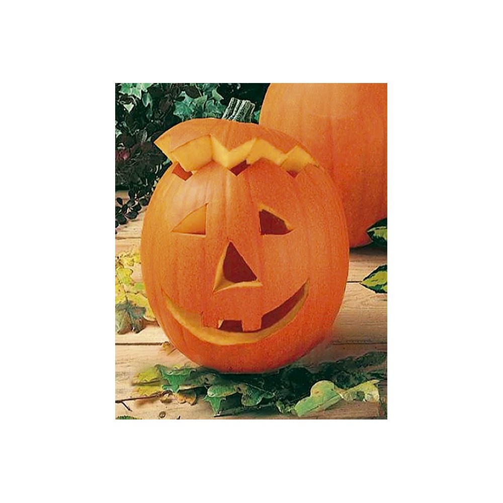 DYNIA JACK O LANTERN (TYP HALLOWEEN)  500 NAS ST