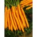 MARCHEW AMSTERDAMSKA SALTO 500G ST