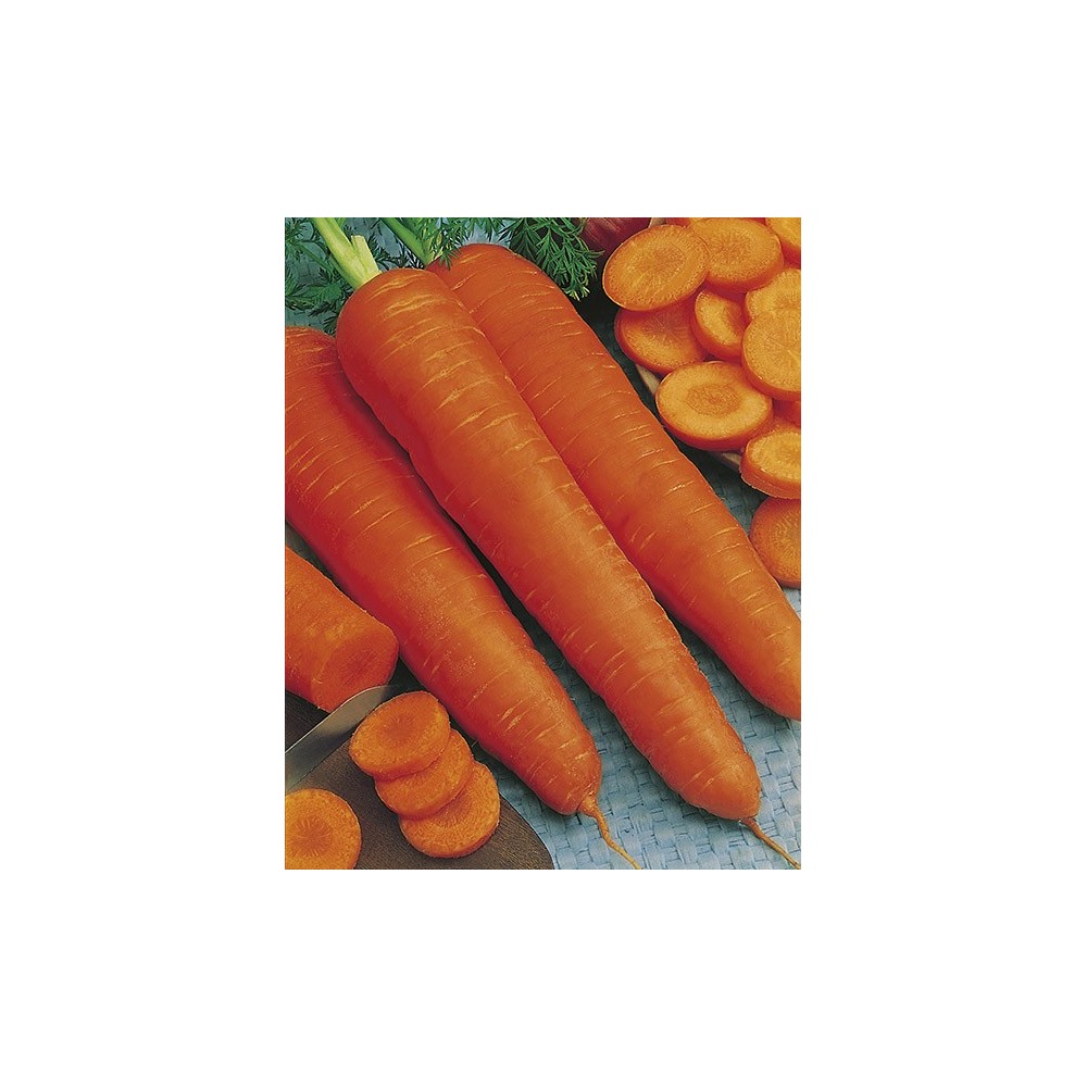 MARCHEW FLAKKESE 2 50G ST