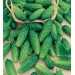 OGÓREK POLOWY PICCOLO VERDE DI PARIGI 250G ST