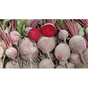 BURAK CZERWONY CARDEAL F1 50 TYS ST