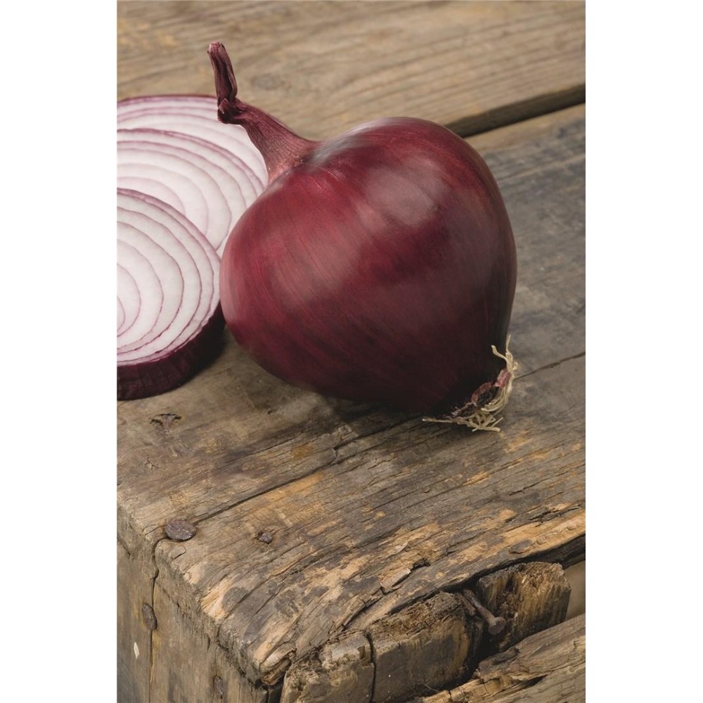 CEBULA RED LADY 250 T B-MOX PODK. PREC ST