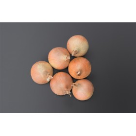 CEBULA HYFIVE B-MOX PODK. PREC 250 TYS ST