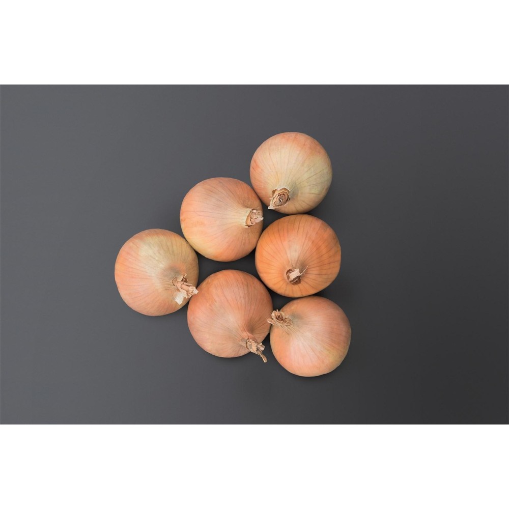 CEBULA HYFIVE B-MOX PODK. PREC 250 TYS ST