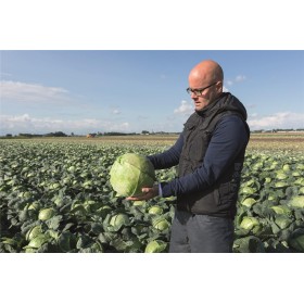 KAPUSTA BIAŁA KRAUTMAN PREC. 2,5 TYS ST