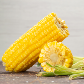 KUKURYDZA SM JANOSIK FAO 230-240 C/1 F1 50 TYS