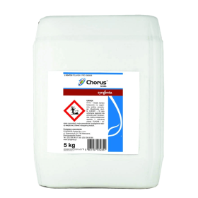 CHORUS 50WG 5KG