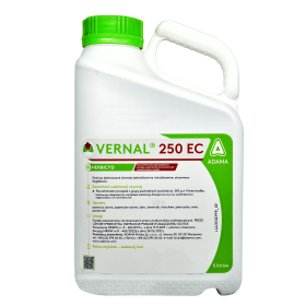 VERNAL 250 EC 5L