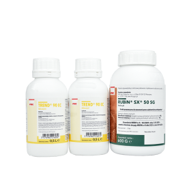 Rubin SX 50SG 600g + 2 x Trend 90EC 500ml
