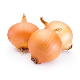 CEBULA AUGUSTA 125 T ozima