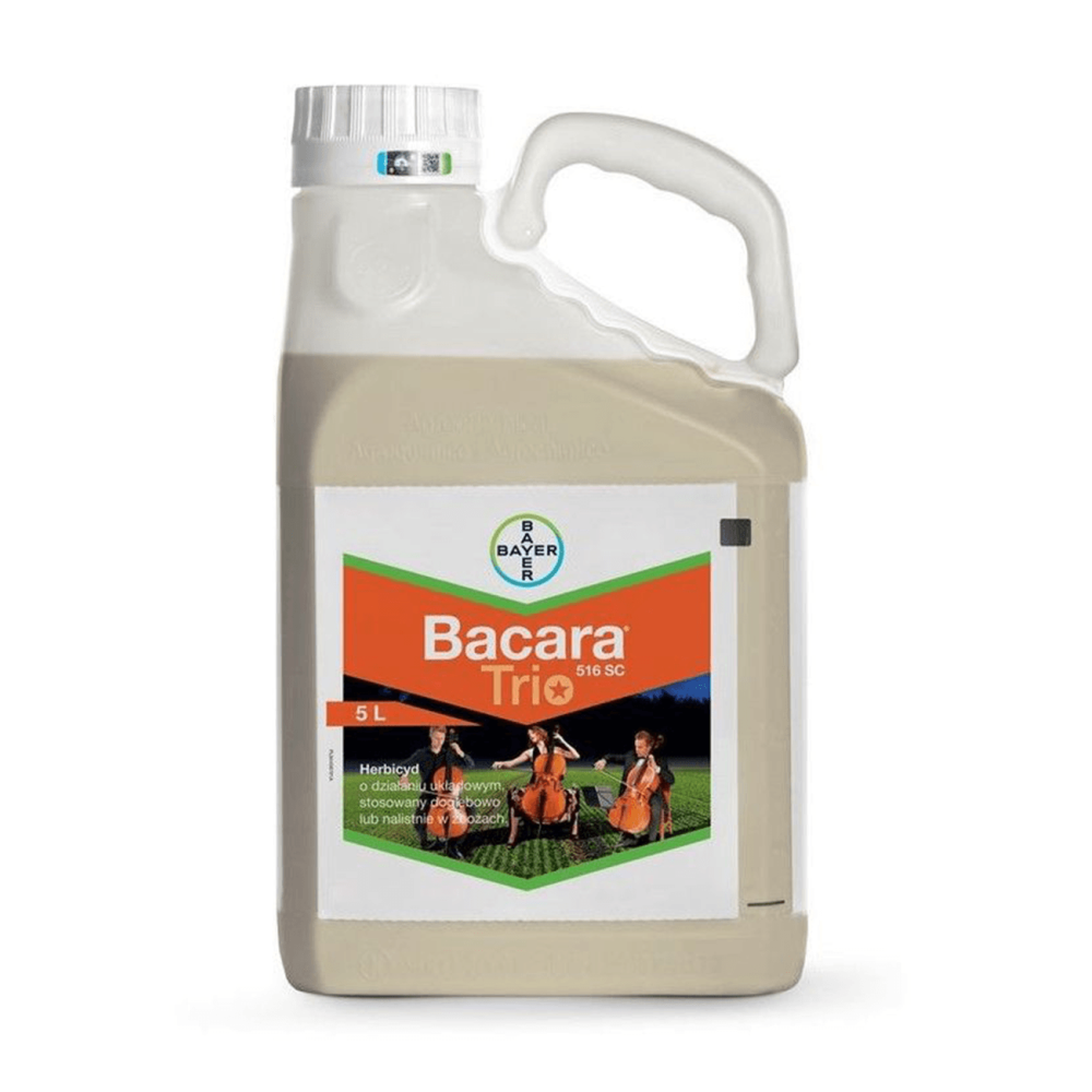 BACARA TRIO 5L