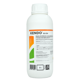 KENDO 50EW 1L